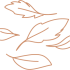 feuille_ocre feuille_ocre